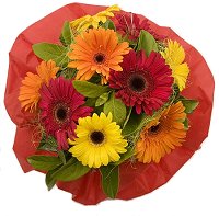 Florist Burnside - Gerbera Bouquet